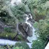 Daniel Cerna - @danielcerna22 - TikTok
