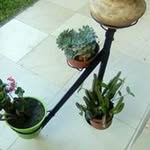 Daniel Cerpa - @daniel.cerpa.750 - Instagram