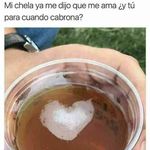 Daniel Cerrillos - @daniel.cerrillos - Instagram