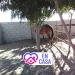 Daniel Ceseña - @daniel.cesena.940 - Instagram