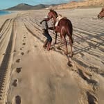 Daniel Ceseña - @cesena462 - Instagram