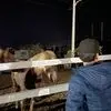 Daniel Ceseña - @daniel.cesea6 - TikTok