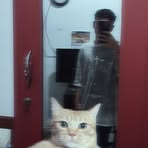 Daniel Cespedes - Facebook