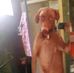 Daniel Chaboya - Facebook