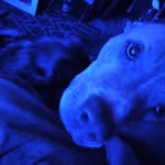 Daniel Chaffin - @daniel.chaffin.378 - Instagram
