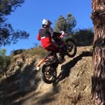 Daniel Chamoinha - @daniel_chamoinha - Instagram