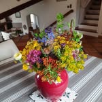 Dan Chambon - @chambondaniel83300 - Instagram