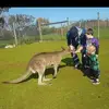 Daniel Chamley - @danielchamley - TikTok