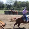 Daniel Chumley - @bar_c_farm - TikTok