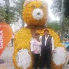 Danielchamorro - @danielchamorro921 - TikTok