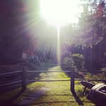 Daniel Chanton - @daniel_chanton - Instagram