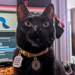 Daniel Chaplin - @hawk.wingbeat - Instagram
