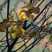 Daniel Chaput - Facebook
