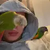daniel charland - @charlanddd - TikTok