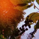 Daniel charron - @daniel_charron_photography_ - Instagram