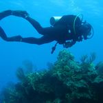 Daniel Charron - @daniel.charron.146 - Instagram