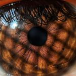 Daniel - @daniel.cheeky2 - Instagram