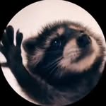 DANIEL CHEN - @daanielchen - Instagram