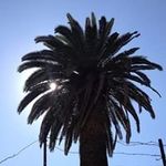 Daniel Chevalier - @chevalier.daniel - Instagram