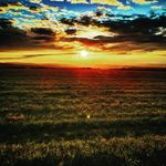 Daniel child - @dan_childs1 - Instagram