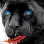 Daniel Childress - @childress.daniel - Instagram