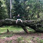 Daniel Childs - @dbchilds23 - Instagram