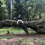 Daniel Childs - @danielchilds7 - Instagram