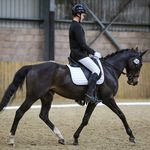Daniel Childs - @danchildsdressage - Instagram