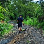 Daniel Ching - @danielchingj - Instagram