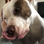 Daniel - @daniel_chiodoni_02 - Instagram
