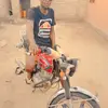 Daniel chipo - @hilariousjimmykan - TikTok