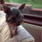 Danielchippendale - @danielmyster - Instagram