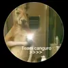 Daniel Chiquillo - @danielchiquillo530 - TikTok