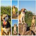 Daniel Chisholm - Facebook