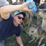 daniel chisholm - @dochisholm - Instagram