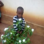 Daniel Chisunga - @daniel.chisunga.71 - Instagram