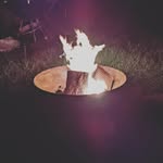 Daniel Chittenden - @chittendendaniel - Instagram