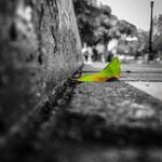 Daniel Chiu - @d.chiu_photography - Instagram