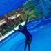 Daniel Chona - Facebook