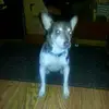 Dan Chovanec - @lafinwitu - TikTok