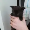 Daniel Chretien - @daniel.chretien - TikTok