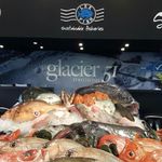 Daniel Christen - @fish_scale_switzerland_ - Instagram