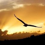 Daniel Christianto - @dcminhan - Instagram