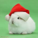 Daniel Christmas - @dannyboy_christmas - Instagram