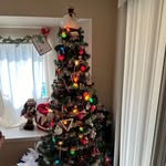 Daniel Christmas - @christmas_junkie - Instagram