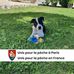 Daniel Christophe - Facebook