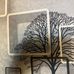 Daniel Chronister - Facebook
