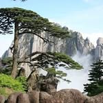 徐仲偉 - @daniel.chui.798 - Instagram