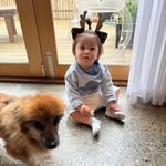 Daniel Chui - @dchui08 - Instagram