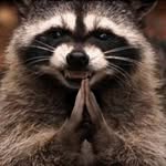 Daniel Chupp - @chupp_daniel - Instagram